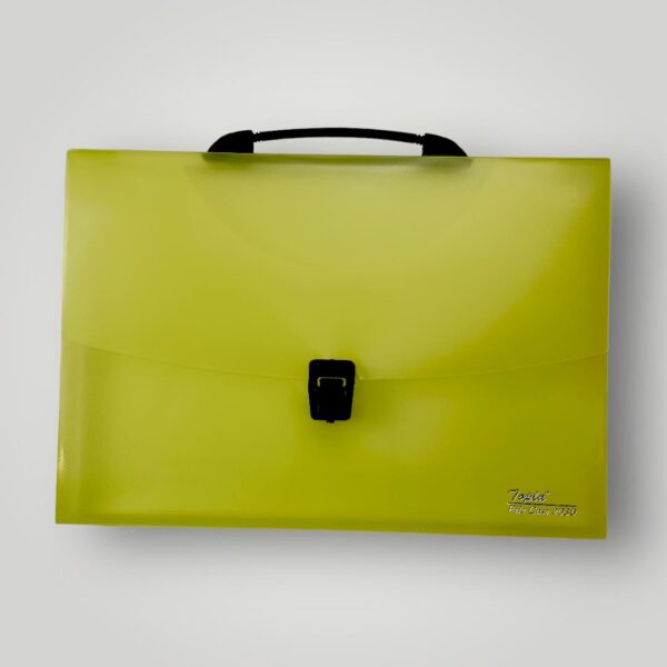 File Case 2030 - Image 8