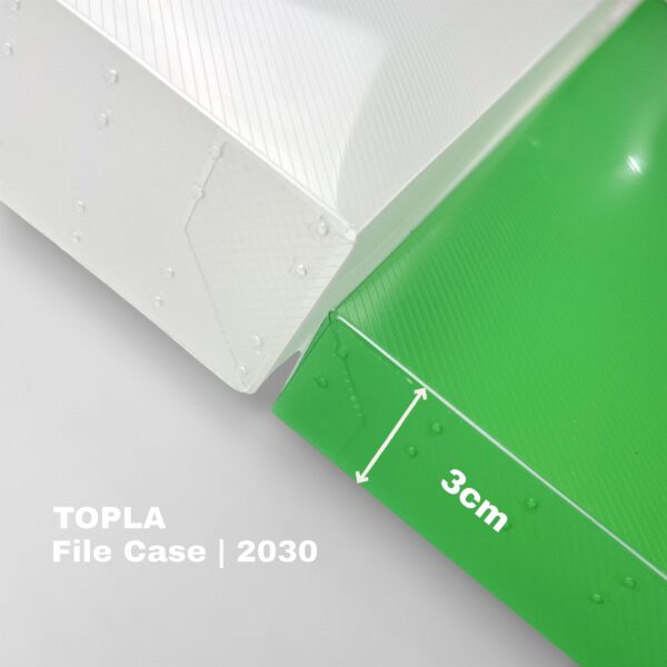File Case 2030 - Image 5